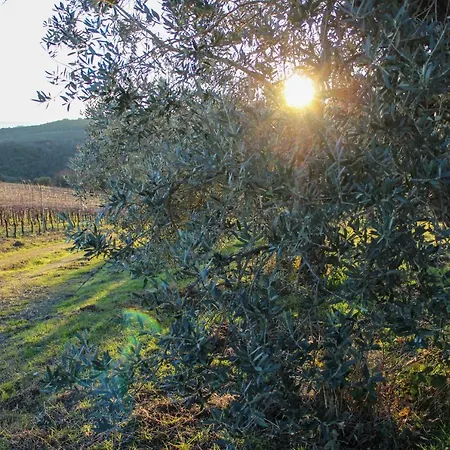 Daire Fattoria La Torre San Gimignano
